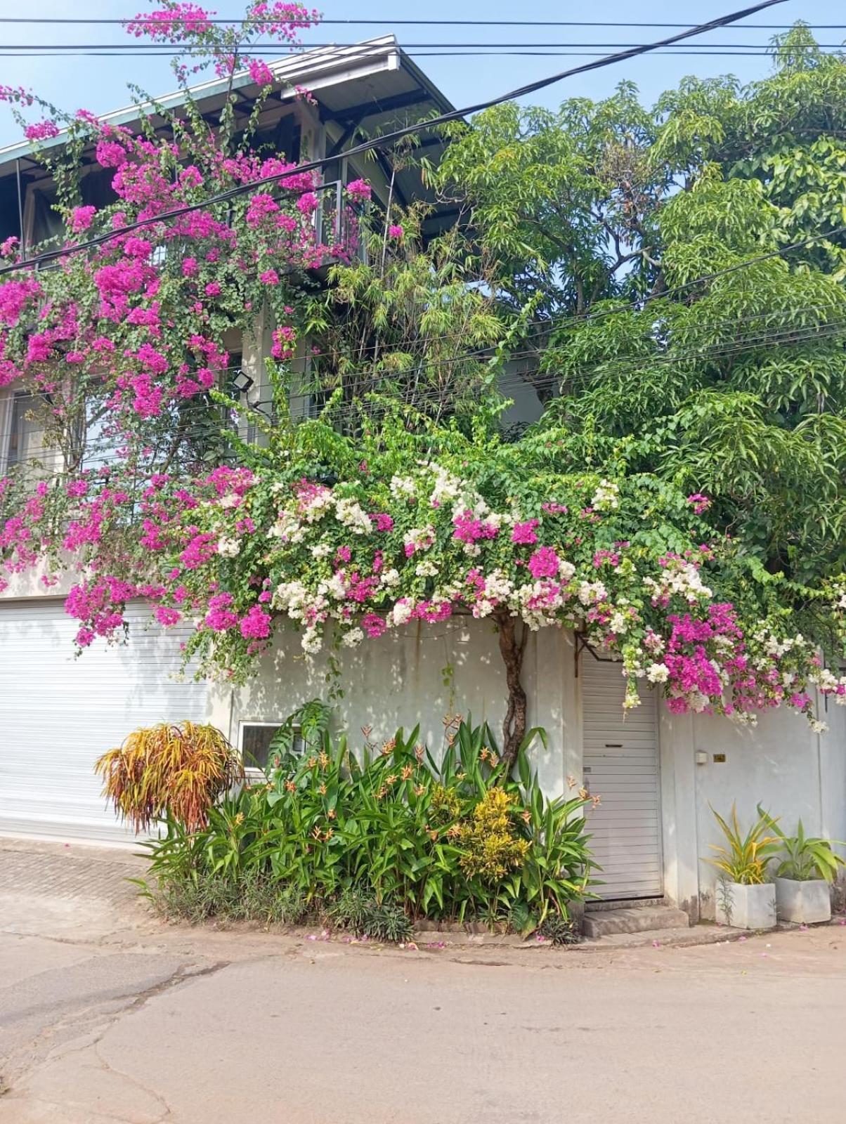 Kelaniya Heritage Εξωτερικό φωτογραφία